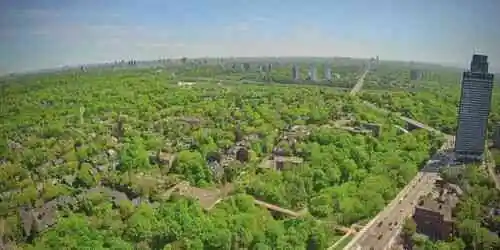 Rosedale & East York Webcam
