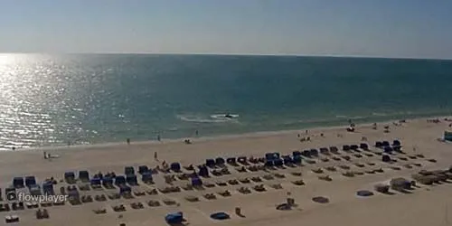 Vacationers at Saint Pete Beach webcam - St. Petersburg