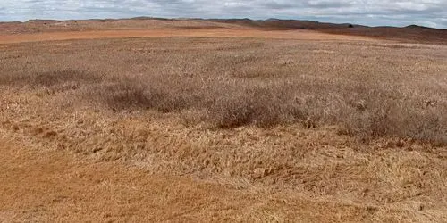 Platte Basin, Sandhills Ranch webcam