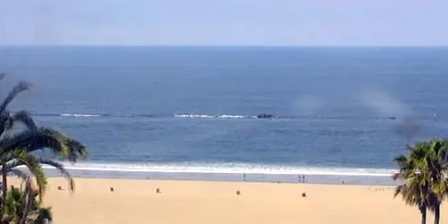 Playa de santa monica webcam