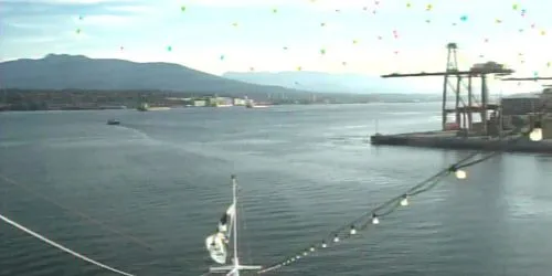 Sapphire Princess Webcam