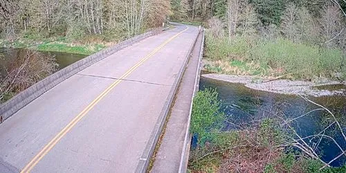 Schafer State Park Bridge webcam - Olympia