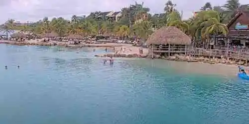 Sea Aquarium Webcam