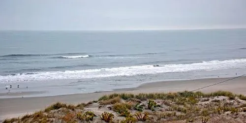 Beaches on the coast of Sea Isle Webcam