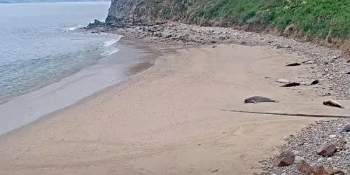 Point Reyes National Seashore webcam