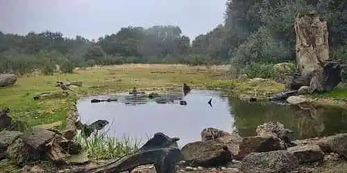 Сендеро Виво в Навалагамелье Веб-камера