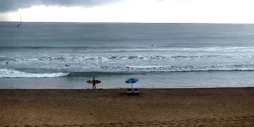 Surfers on the waves webcam