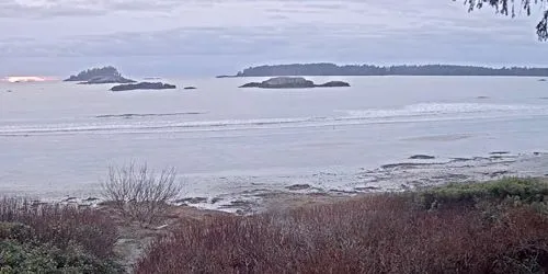 Templar Channel webcam - Tofino