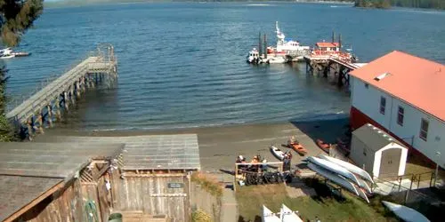 Tofino Harbor - Sea Kayaking webcam - Tofino