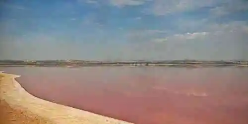 Laguna Rosa de Torrevieja Cámara web