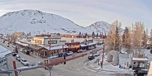 Jackson Trading Company, Million Dollar Cowboy Bar Webcam