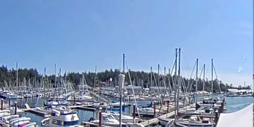 Tsehum Harbour in Sidney webcam - Victoria