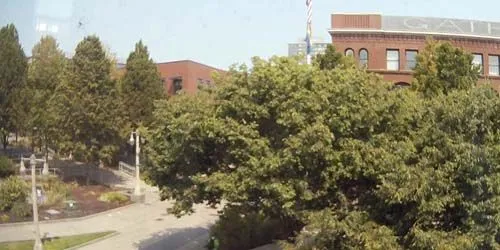 University of Washington Tacoma Webcam