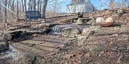 Waterfall in the forest webcam - Louisville