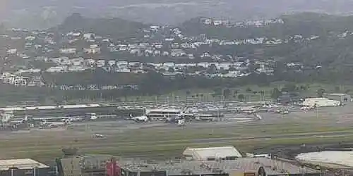 Wellington Flughafen Webcam