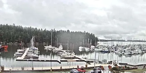 Berth with yachts and boats webcam - Nanaimo